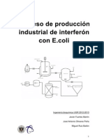 Produccion de IFN en E - Coli Recombinante