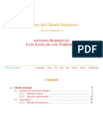 Pivoteo Parcial y Escalado