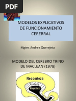 Modelos Explicativos de Funcionamiento Cerebral