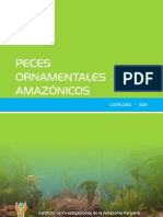 Catalogo de Peces Ornamental Amazonicos