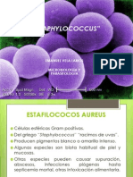 Staphylococcus