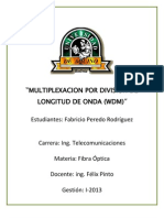 WDM Informe