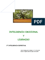 3 - Inteligencia Espiritual