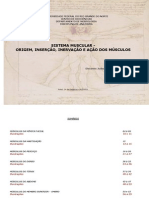 Trabalho de Anatomia - Tabela Musculos