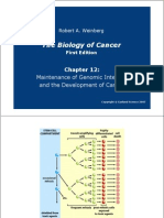 08-Genomic Integrity and Cancer