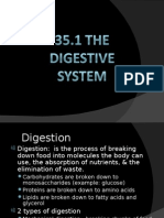 35.1 - The Digestive System