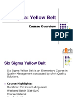 Six Sigma - YB Training Brochure - Pps