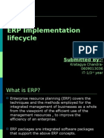 Erp Implementation Life Cycle