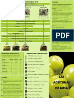 Folleto Aceituna Mesa - tcm5-533