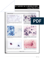 Microbiology Colour Plate No.9