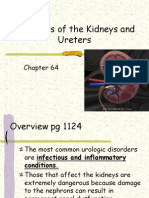 Disorders of The Kidneys and Ureters3962