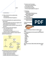 Unit Test - Zoology Animal Kingdom