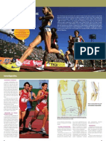 David Lopez Capape Rodilla Del Corredor PDF