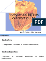 Anatomia Do Sistema Cardiovascular