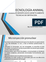 Biotec. Animal-Tecnicas de Obtencion