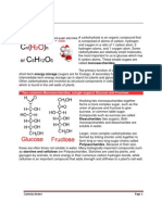 Carbohydrates: Notes in Biology