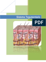 Sistema Tegumentario