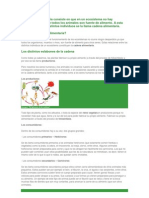 La Cadena Alimentaria Consiste en Que en Un Ecosistema No Hay Desperdicios Porque Todos Los Animales Son Fuente de Alimento