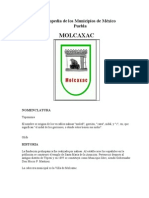 Enciclopedia de Molcaxac Puebla México