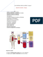 Sistema Circulatório