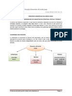 Principios Del Medio Juego 1° Parte (Sinopsis)