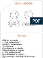 Capitulo 4.1 Mitosis y Meiosis