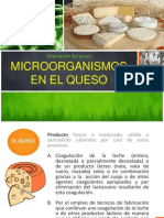 Elaboración Del Queso