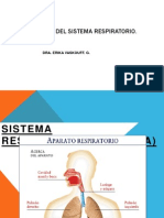 Sistema Respiratorio