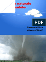 Totul Despre Tornade