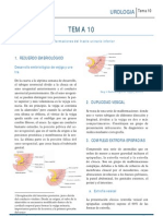 Uro T10 PDF