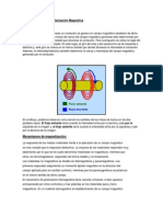 Polarización Magnética