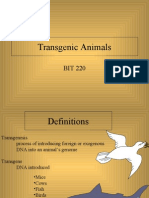 Transgenic Animals