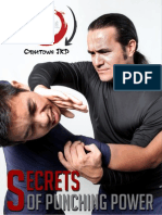 Secrets of Punching Power - Book