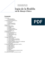 Guia Rodilla 2011