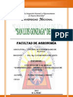 Cultivo de Rosas - Enfermedades y Sus Medidas de Control