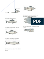 Market Forms of Fish