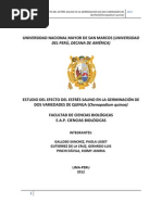 Grupo - 2.1 - ESTUDIO DEL EFECTO DEL ESTRÉS SALINO EN LA GERMINACIÓN DE DOS VARIEDADES DE QUINUA (Chenopodium Quinoa)
