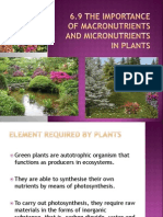 The Importance of Macronutrients and Micronutrients in Plants