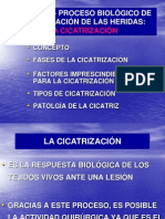 Cicatrización