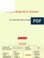 Anemia Fisiopatologia 1