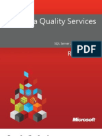 Data Quality Services