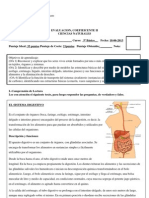 Evaluacion Cefiente Dos 5º