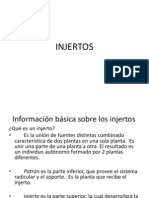 Injertos