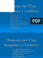 Dinámica Del Flujo Sanguíneo y Linfático