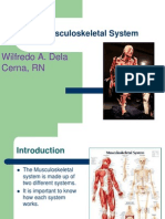 Musculoskeletal System: Wilfredo A. Dela Cerna, RN