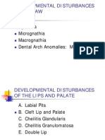 Developmental Disturbances of The Jaws