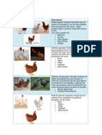 Catalogo de Materia Prima Animal