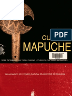 Cultura Mapuche