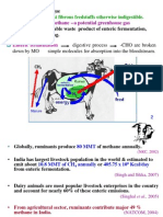 Methane Mitigation Strategies From Livestock by SK Asraf Hossain