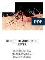 Dengue Hemorrhage Fever 2